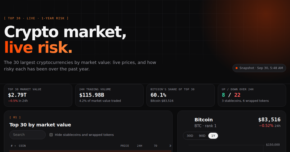 Crypto Market Monitor project preview